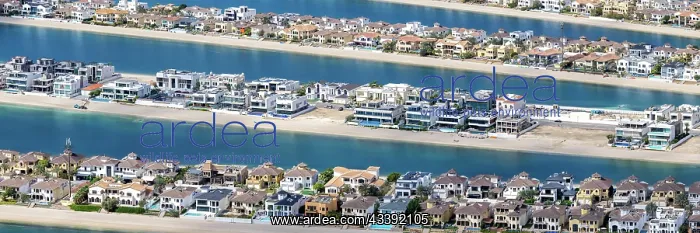 : Artificial island in the shape of a palm tree The : Artificial island in the shape of a palm tree The