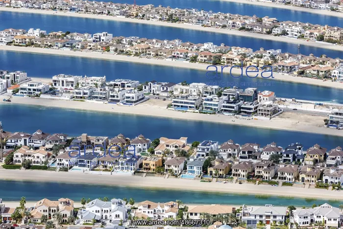 : Artificial island in the shape of a palm tree The Palm : Artificial island in the shape of a palm tree The Palm