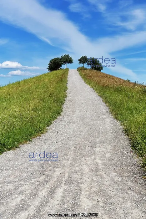 : Artificially created hill, hiking trail, cycle p : Artificially created hill, hiking trail, cycle p