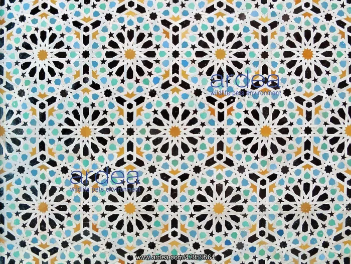 : Artistic Tile Works - in one of the numerous medersas : Artistic Tile Works - in one of the numerous medersas