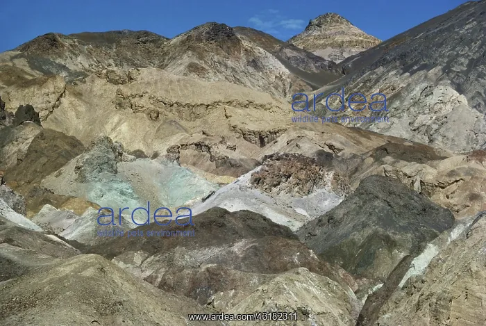 : Artists Palette, Death Valley : Artists Palette, Death Valley