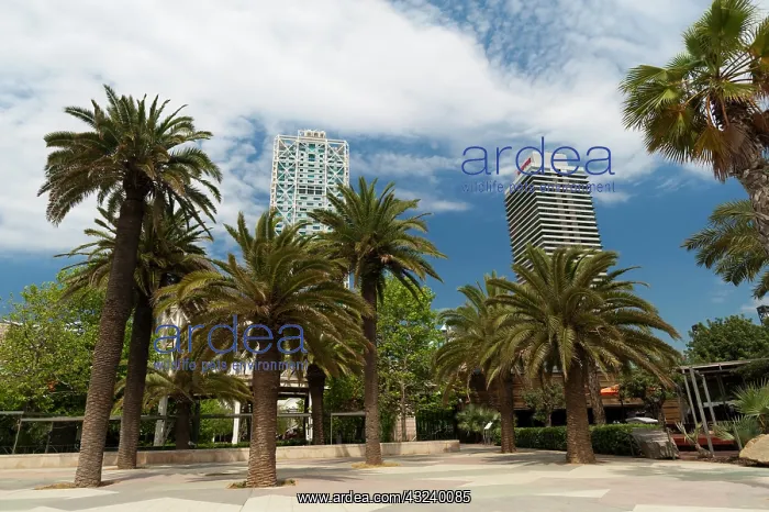 : Arts Hotel and Mapfre Tower, La Barceloneta : Arts Hotel and Mapfre Tower, La Barceloneta