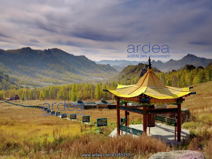 : Aryapala Temple Meditation Center, Gorchi Terelj : Aryapala Temple Meditation Center, Gorchi Terelj