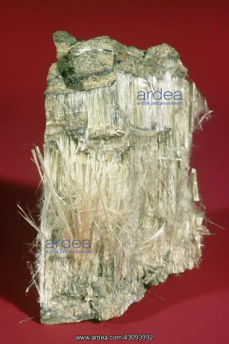 : Asbestos. Serpentine asbestos : Asbestos. Serpentine asbestos