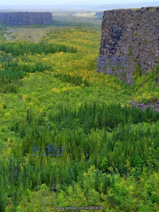 : Asbyrgi canyon in Vatnajokull National Park. The : Asbyrgi canyon in Vatnajokull National Park. The