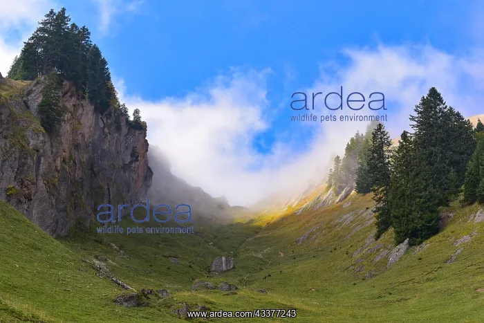 : Ascent to Stuiben (1749 m) in the Nagelfluh range : Ascent to Stuiben (1749 m) in the Nagelfluh range