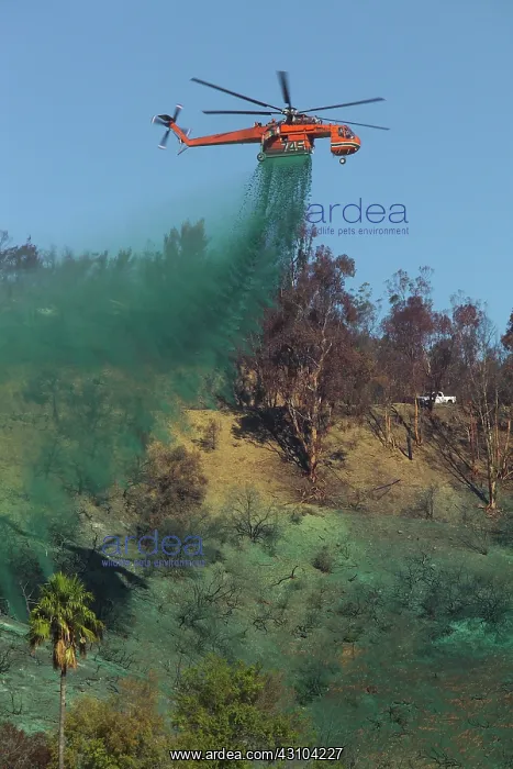 : Ash Fertilizer Drop : Ash Fertilizer Drop