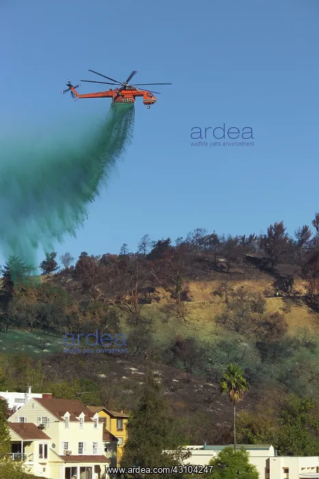 : Ash Fertilizer Drop : Ash Fertilizer Drop