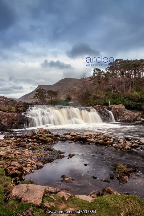 : Ashleagh Falls April : Ashleagh Falls April