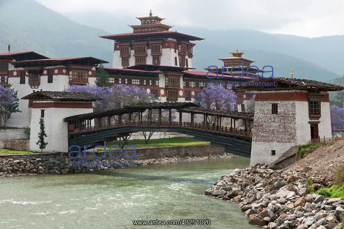  : Asia, Bhutan. Cantilevered foot bridge near