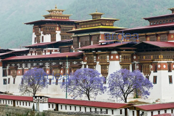 : Asia, Bhutan. Exterior view of Punakha Dzong : Asia, Bhutan. Exterior view of Punakha Dzong