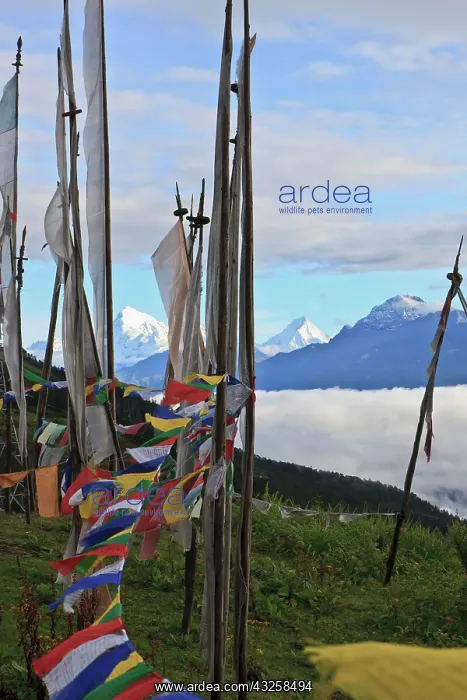 : Asia, Bhutan. Mount Jumolhari at 7, 300m : Asia, Bhutan. Mount Jumolhari at 7, 300m