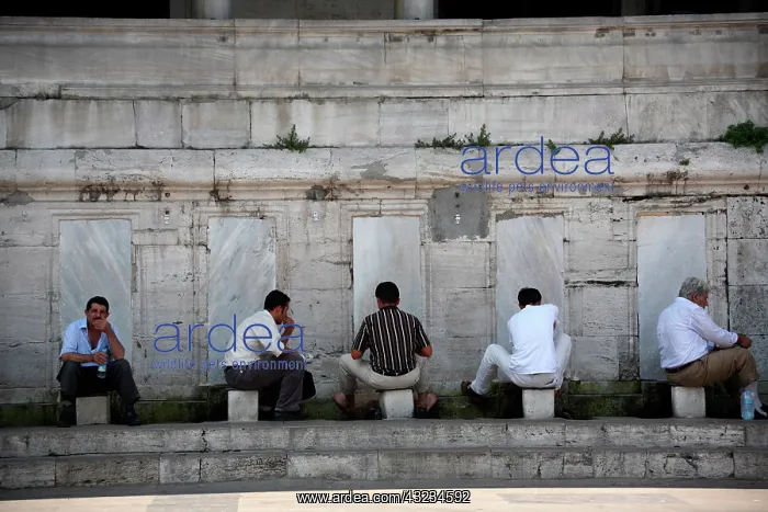 : Asia, Europe, Turkey, Istanbul. Men wash : Asia, Europe, Turkey, Istanbul. Men wash