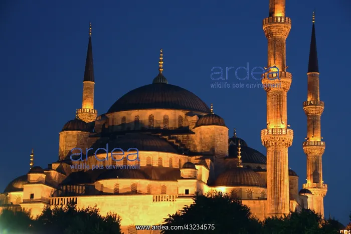: Asia, Europe, Turkey, Istanbul. The night : Asia, Europe, Turkey, Istanbul. The night