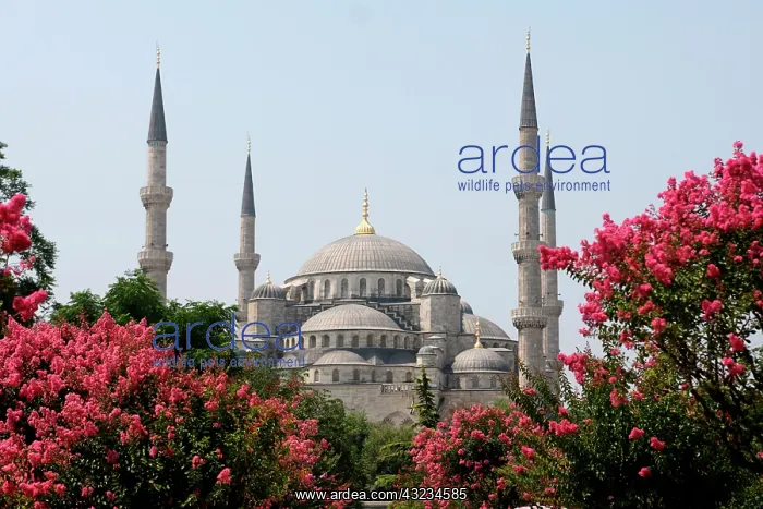 : Asia, Europe, Turkey, Istanbul. The view : Asia, Europe, Turkey, Istanbul. The view