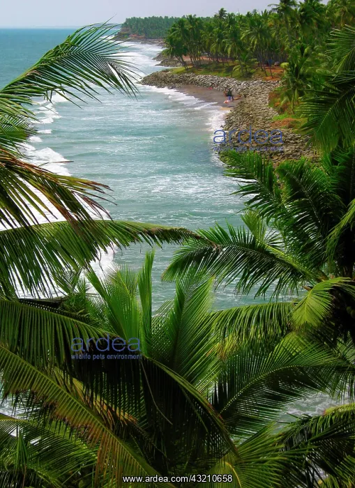 : Asia, India, Kerala, Varkala. The cliffs : Asia, India, Kerala, Varkala. The cliffs