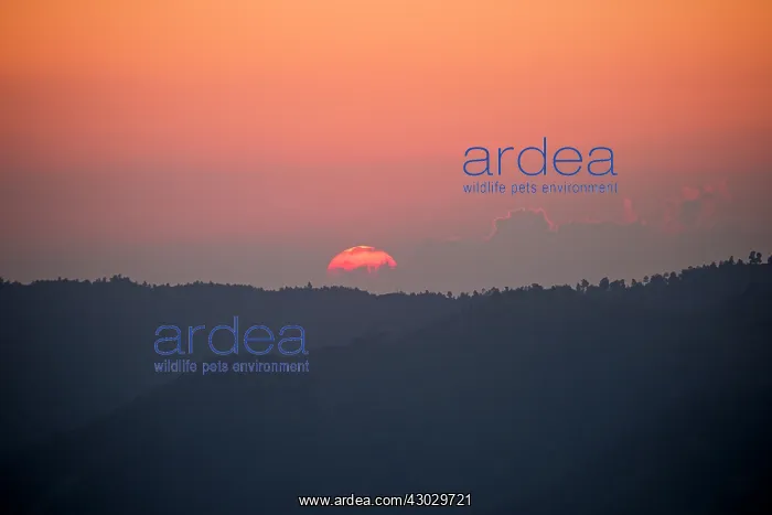 : Asia, India, Nagaland, Doyang Hydroelectric Dam : Asia, India, Nagaland, Doyang Hydroelectric Dam