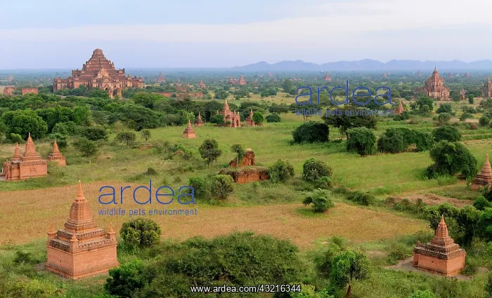 : Asia, Myanmar (Burma), Bagan (Pagan). Various : Asia, Myanmar (Burma), Bagan (Pagan). Various