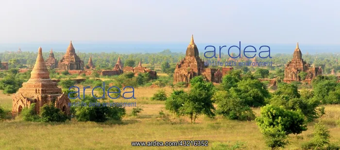  : Asia, Myanmar (Burma), Bagan (Pagan). Various