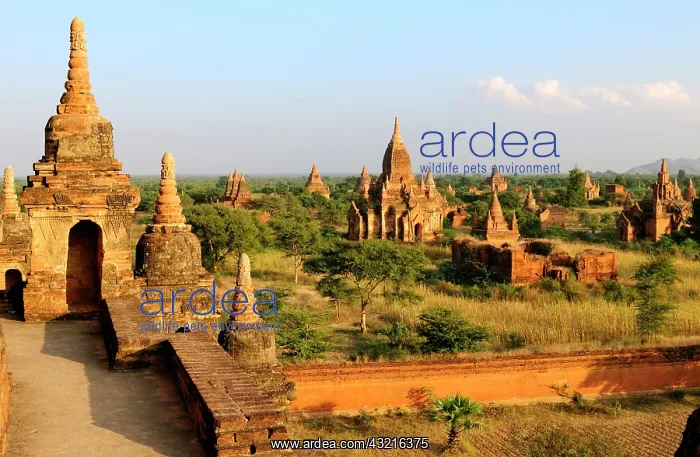 : Asia, Myanmar (Burma), Bagan (Pagan). Various : Asia, Myanmar (Burma), Bagan (Pagan). Various