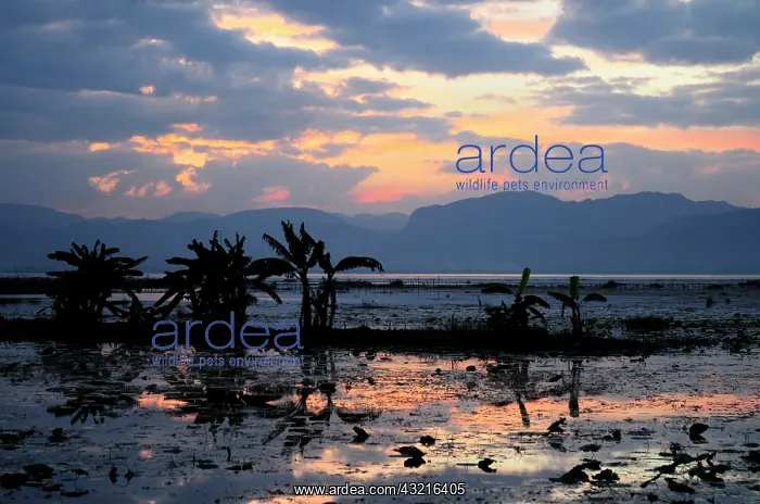 : Asia, Myanmar (Burma), Lake Inle. Sunset : Asia, Myanmar (Burma), Lake Inle. Sunset