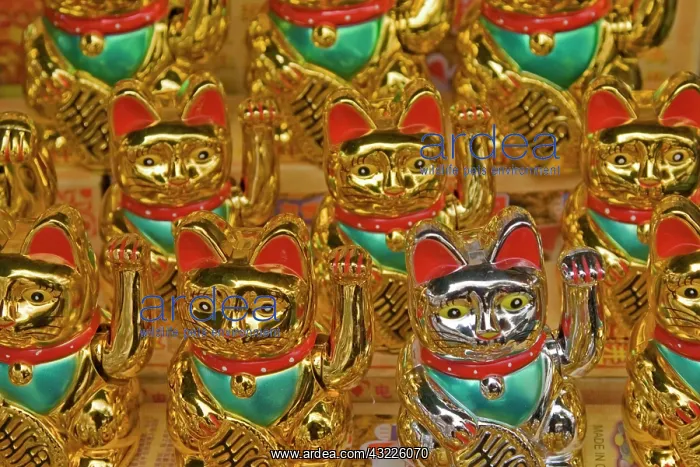 : Asian mascot Maneki Neko : Asian mascot Maneki Neko