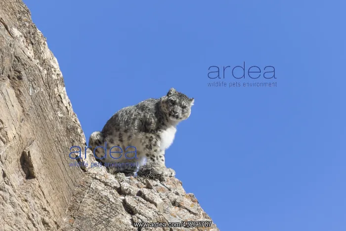 : Asie, Mongolie, Ouest de la Mongolie, Montagnes : Asie, Mongolie, Ouest de la Mongolie, Montagnes