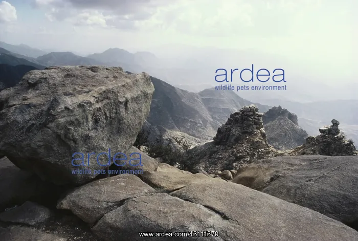 : Asir National Park, Saudi Arabia : Asir National Park, Saudi Arabia