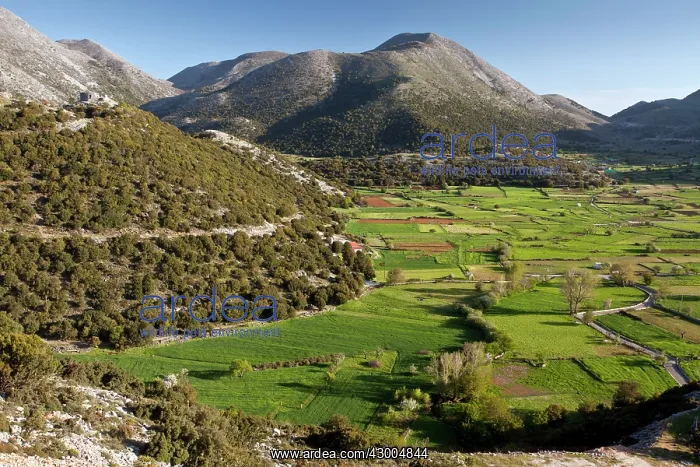 : Askyfou plateau : Askyfou plateau