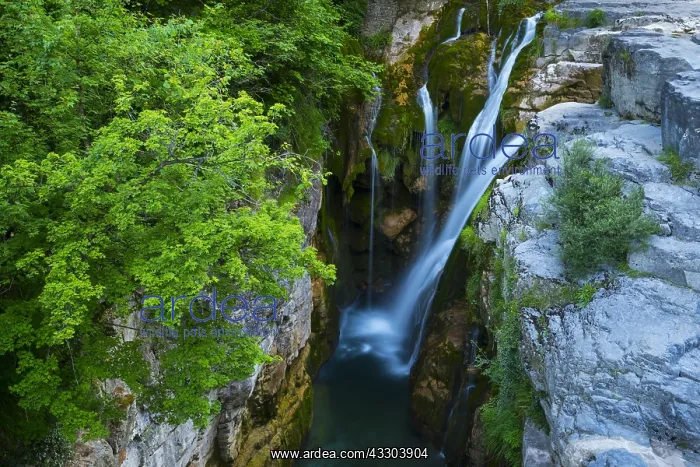 : Aso Waterfalll, A&, x69ce3;lo Canyon, Ordesa y Monte : Aso Waterfalll, A&, x69ce3;lo Canyon, Ordesa y Monte