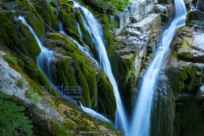 : Aso Waterfalll, A&, x69ce3;lo Canyon, Ordesa y Monte : Aso Waterfalll, A&, x69ce3;lo Canyon, Ordesa y Monte