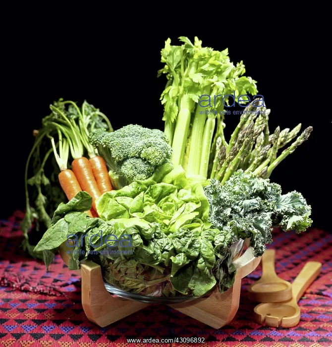: Assorted Vegetables : Assorted Vegetables