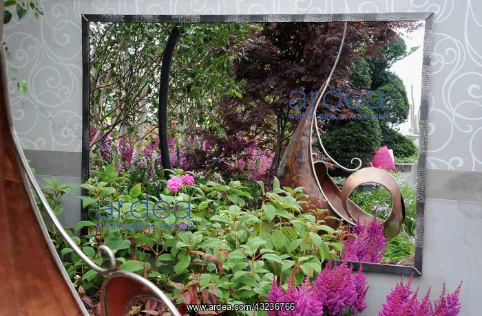 : Astilbe. Hampton Court Flowershow 2009, The Sadolin Nature to Nuture Garden : Astilbe. Hampton Court Flowershow 2009, The Sadolin Nature to Nuture Garden