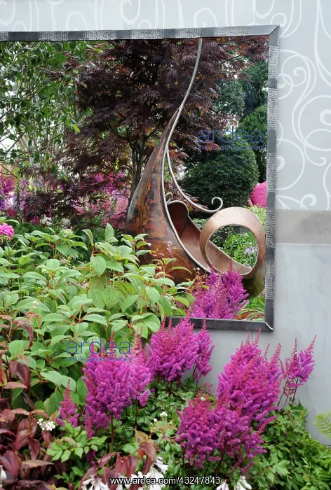 : Astilbe. Hampton Court Flowershow 2009, The Sadolin Nature to Nuture Garden : Astilbe. Hampton Court Flowershow 2009, The Sadolin Nature to Nuture Garden
