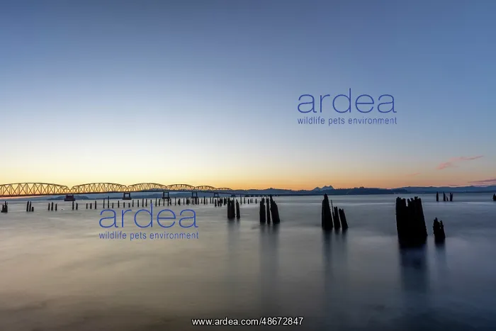 : The Astoria Megler Bridge over the Columbia River in : The Astoria Megler Bridge over the Columbia River in