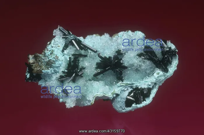 : Atacamite (dark crystals) with quartz and chrysocolla from the Lillie Mine in Peru : Atacamite (dark crystals) with quartz and chrysocolla from the Lillie Mine in Peru