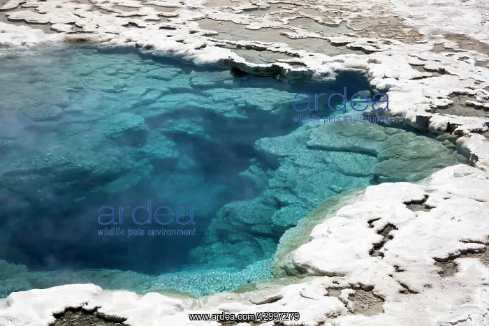 : Atemisia Geyser - showing wide platform of geyserite : Atemisia Geyser - showing wide platform of geyserite