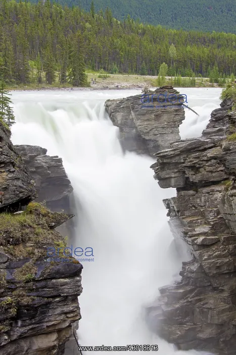  : Athabasca Falls