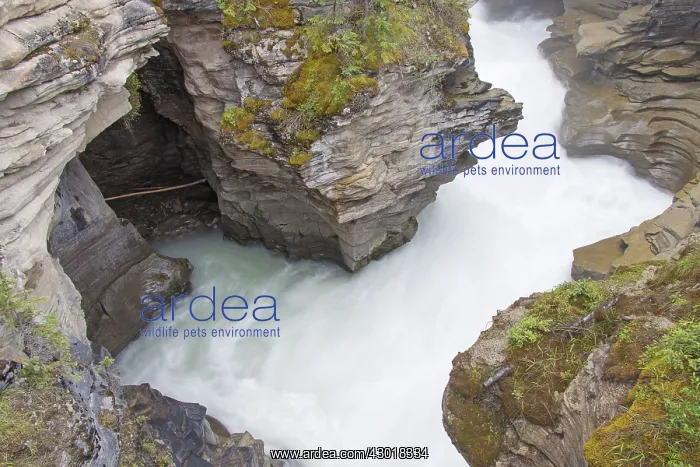  : Athabasca Falls