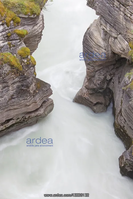  : Athabasca Falls