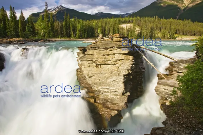 : Athabasca Fallsl on the Athabasca River : Athabasca Fallsl on the Athabasca River