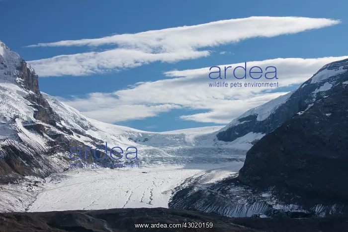  : Athabasca-Glacier