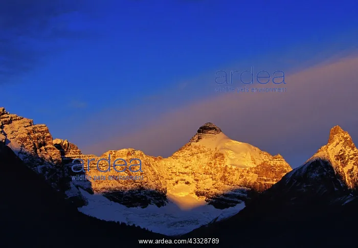 : Athabasca & Hilda Peaks in the Canadian : Athabasca & Hilda Peaks in the Canadian