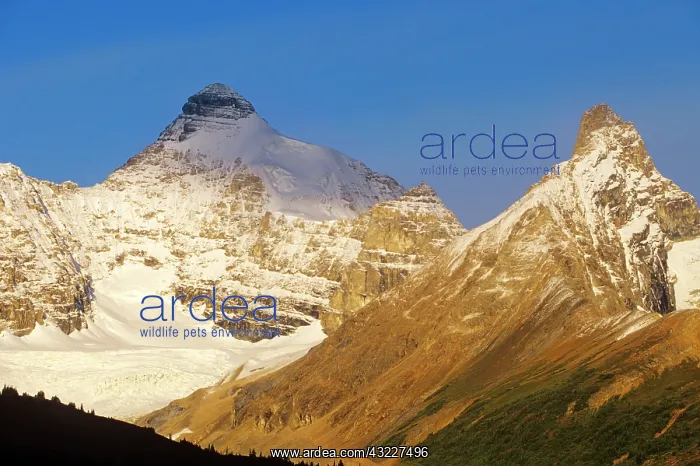 : Athabasca and Hilda Peaks with Hilda Glacier : Athabasca and Hilda Peaks with Hilda Glacier