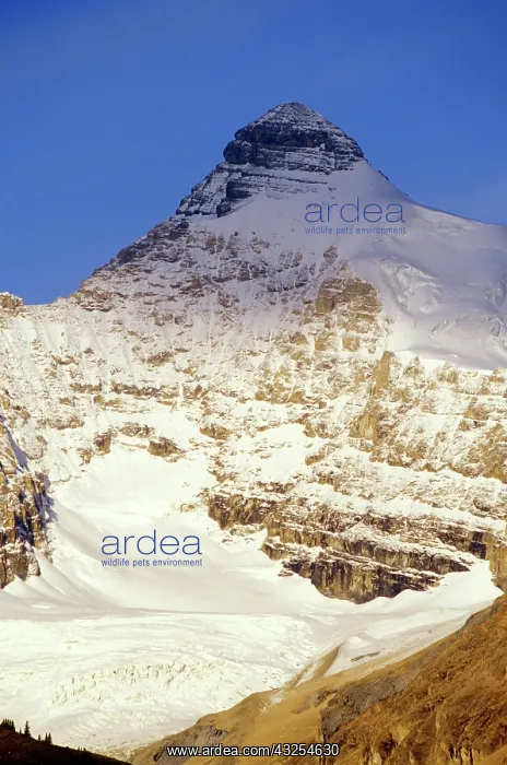 : Athabasca Peak in the Canadian Rockies : Athabasca Peak in the Canadian Rockies