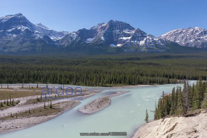  : Athabasca River