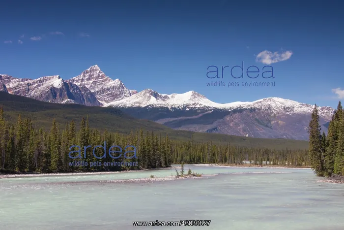  : Athabasca River