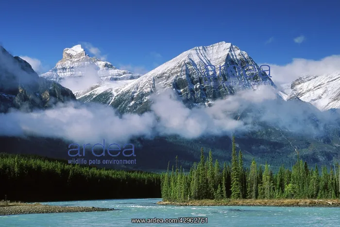 : Athabasca River and Rocky Mountains : Athabasca River and Rocky Mountains