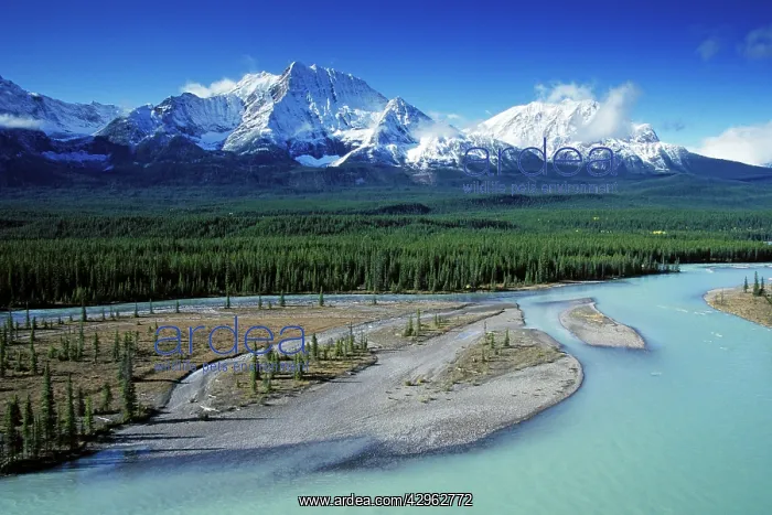 : Athabasca River and Rocky Mountains : Athabasca River and Rocky Mountains