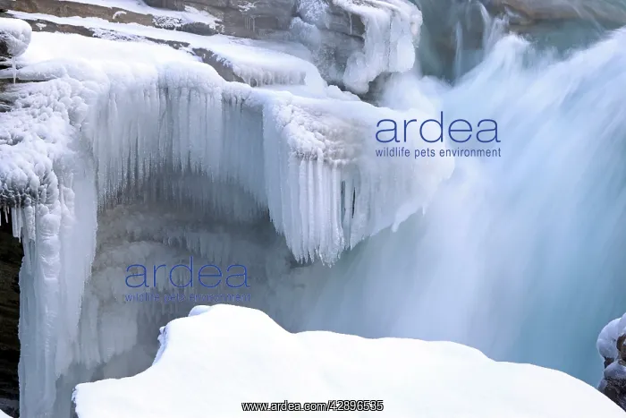 : Athabaska Falls - partially frozen : Athabaska Falls - partially frozen